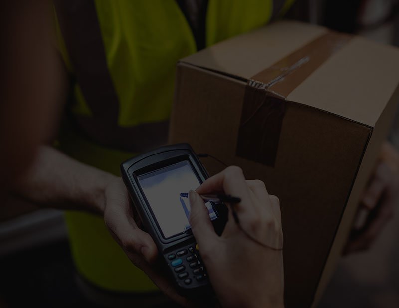 Global Freight Axis company and cargo operations